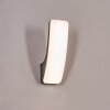 Gilan Lampada da parete per esterno, Applique LED Nero, 1-Luce