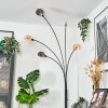 Nikkala Lampada da terra Nero, 5-Luci