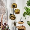 Ripoll Lampada a sfera, Applique Oro, 3-Luci