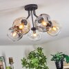 Ripoll Plafoniera, Lampada a sfera Ambrato, Chiaro, Grigio fumo, 5-Luci