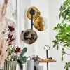 Ripoll Lampada a sfera, Applique Oro, Chiaro, 3-Luci