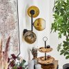 Koyoto Lampada a sfera, Applique Oro, Chiaro, 3-Luci