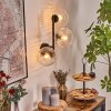 Ripoll Lampada a sfera, Applique Chiaro, 3-Luci