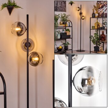 Koyoto Lampada da terra 31 cm Cromo, Chiaro, Grigio fumo, 3-Luci
