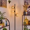 Koyoto Lampada da terra Ambrato, Chiaro, 3-Luci