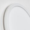 Qadir Lampada da parete per esterno, Applique LED Bianco, 1-Luce