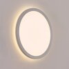 Qadir Lampada da parete per esterno, Applique LED Bianco, 1-Luce