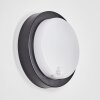 Jelad Lampada da parete per esterno, Applique LED Nero, 1-Luce, Sensori di movimento