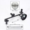 Ripoll Lampada a sfera, Applique Cromo, Chiaro, Grigio fumo, 3-Luci