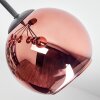Koyoto Plafoniera, Lampada a sfera Ramato, 7-Luci