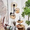 Koyoto Lampada a sfera, Applique Ambrato, 3-Luci