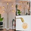 Codecro Lampada da terra Ottone, Nero, Bianco, 5-Luci
