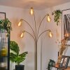 Codecro Lampada da terra Ottone, Nero, Bianco, 5-Luci