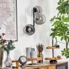 Ripoll Lampada a sfera, Applique Chiaro, Grigio fumo, 3-Luci