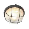 Illuminazione Steinhauer Lisanne Trasparente, 1-Luce