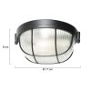 Illuminazione Steinhauer Lisanne Trasparente, 1-Luce