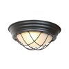Illuminazione Steinhauer Lisanne Plafoniera Nero, 1-Luce