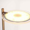 Illuminazione Steinhauer Turound Lampada da terra Bronzo, 2-Luci