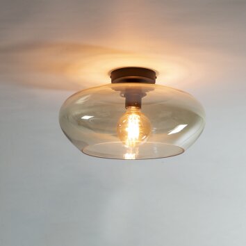 Iralo Plafoniera Antracite, 1-Luce