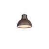 Illuminazione Trio Leuchten ELBE Applique Ruggine, 1-Luce
