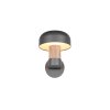 Illuminazione Trio Leuchten FRASER Applique Legno chiaro, 1-Luce