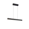 Illuminazione Trio Leuchten Emerson Lampada a sospensione LED Nero, 1-Luce
