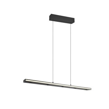 Illuminazione Trio Leuchten Graham Lampada a sospensione LED Nero, 8-Luci