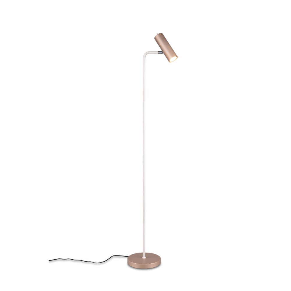 Illuminazione Trio Leuchten Marley Lampada da terra Marrone, 1-Luce main product photo