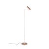 Illuminazione Trio Leuchten Marley Lampada da terra Marrone, 1-Luce