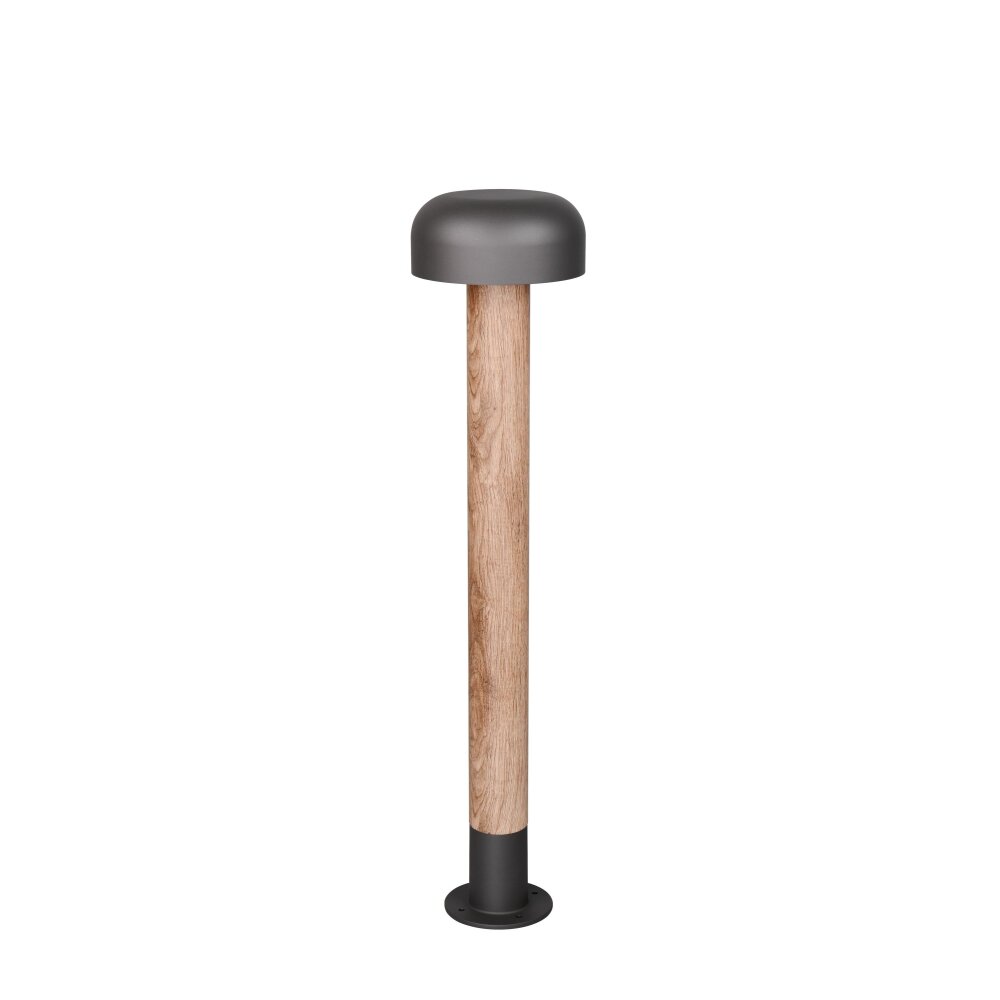 Illuminazione Trio Leuchten FRASER Lampada da terra per esterno Legno chiaro, 1-Luce