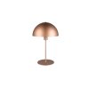 Illuminazione Trio Leuchten Nola Lampada da tavolo Marrone, 1-Luce