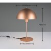 Illuminazione Trio Leuchten Nola Lampada da tavolo Marrone, 1-Luce