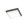Illuminazione Trio Leuchten BERMEJO Plafoniera LED Antracite, 1-Luce, Sensori di movimento