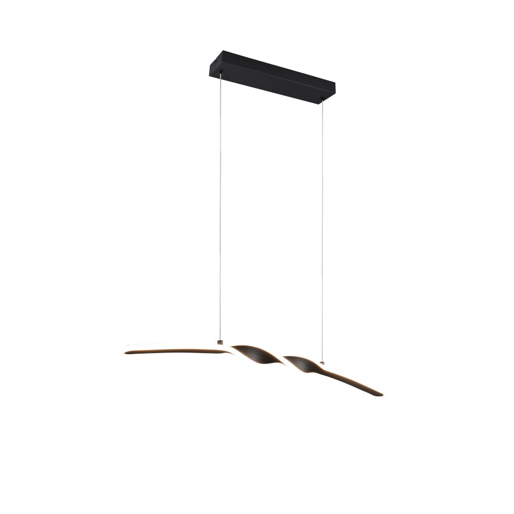 Illuminazione Reality Ginko Lampada a sospensione LED Nero, 1-Luce main product photo