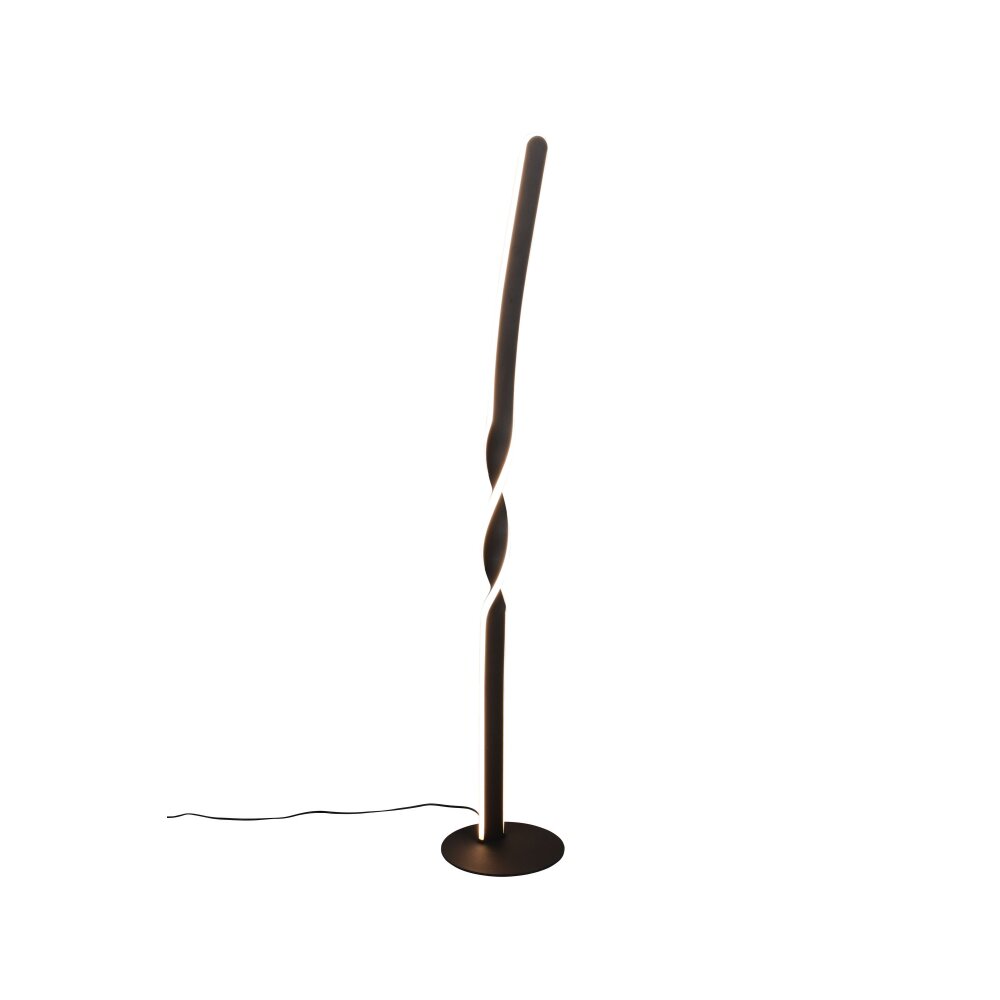Illuminazione Reality Ginko Lampada da terra LED Nero, 1-Luce main product photo
