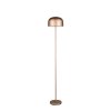 Illuminazione Reality Jeff Lampada da terra LED Marrone, 1-Luce