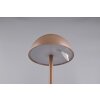 Illuminazione Reality Ricardo Lampada da tavolo LED Marrone, 1-Luce