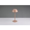 Illuminazione Reality Ricardo Lampada da tavolo LED Marrone, 1-Luce