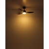 Illuminazione Globo Lighting Modesto Lampada con ventilatore LED Grigio, 1-Luce, Telecomando