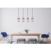 Illuminazione Globo Lighting Cayden Lampadario a sospensione Nichel opaco, 4-Luci