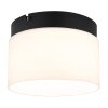 Illuminazione Globo Lighting Trenton Plafoniera LED Nero, 1-Luce