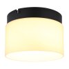 Illuminazione Globo Lighting Trenton Plafoniera LED Nero, 1-Luce