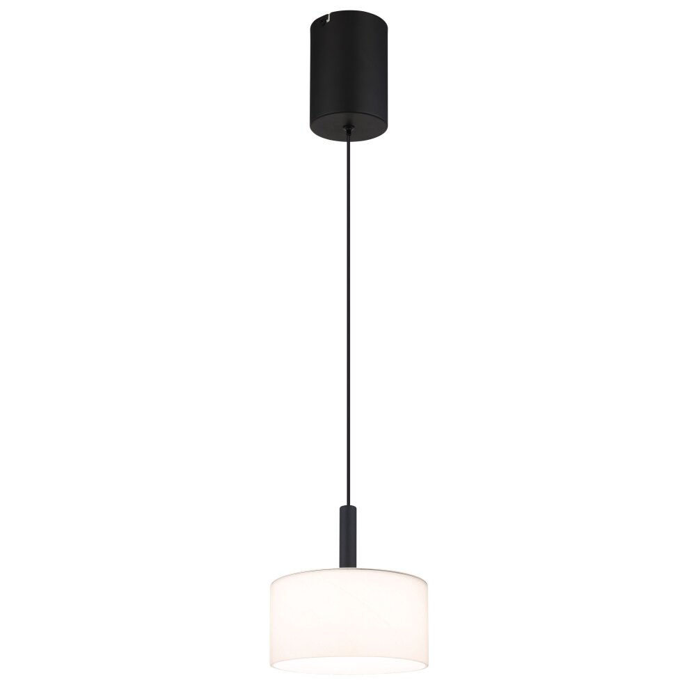 Illuminazione Globo Lighting Trenton Lampadario a sospensione LED Nero, 1-Luce main product photo