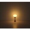 Illuminazione Globo Lighting Lula Lampada da tavolo Ottone, 1-Luce