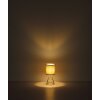 Illuminazione Globo Lighting Tamian Lampada da tavolo Verde, 1-Luce