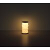 Illuminazione Globo Lighting Bendera Lampada da tavolo LED Bianco, 1-Luce