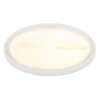 Illuminazione Globo Lighting Tyrone Plafoniera LED Bianco, 1-Luce