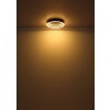 Illuminazione Globo Lighting Hedi Plafoniera LED Oro, Nero, 1-Luce