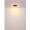 Illuminazione Globo Lighting Hedi Plafoniera LED Oro, Nero, 1-Luce