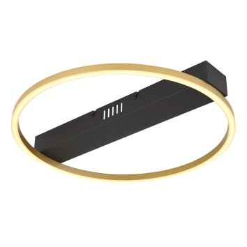 Illuminazione Globo Lighting Luffy Plafoniera LED Oro, Nero, 1-Luce